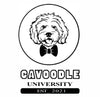 CAVOODLEUNIVERSITY