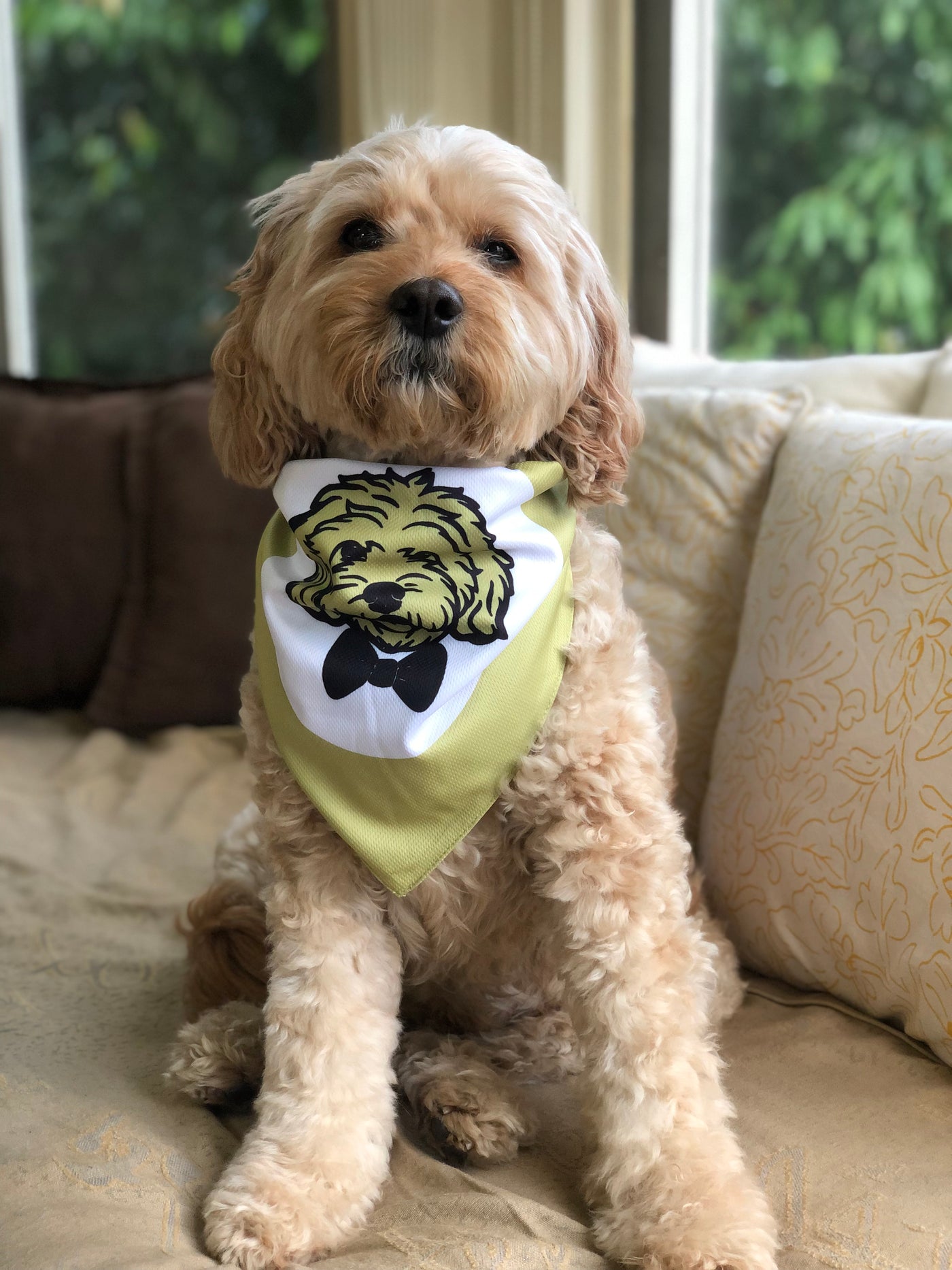 Cavoodle Bandana Reversible Tie On