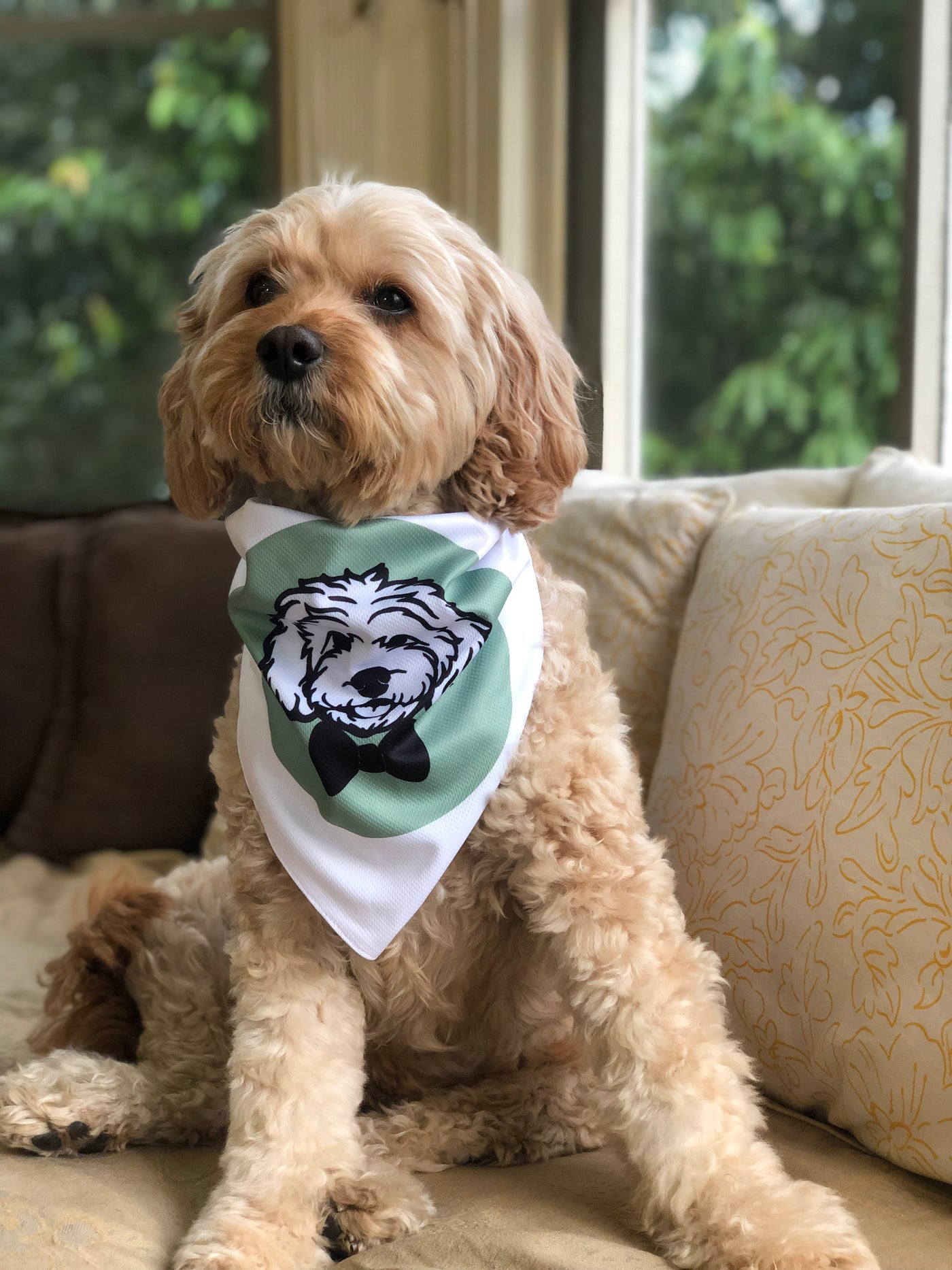 Cavoodle Bandana Reversible Tie On