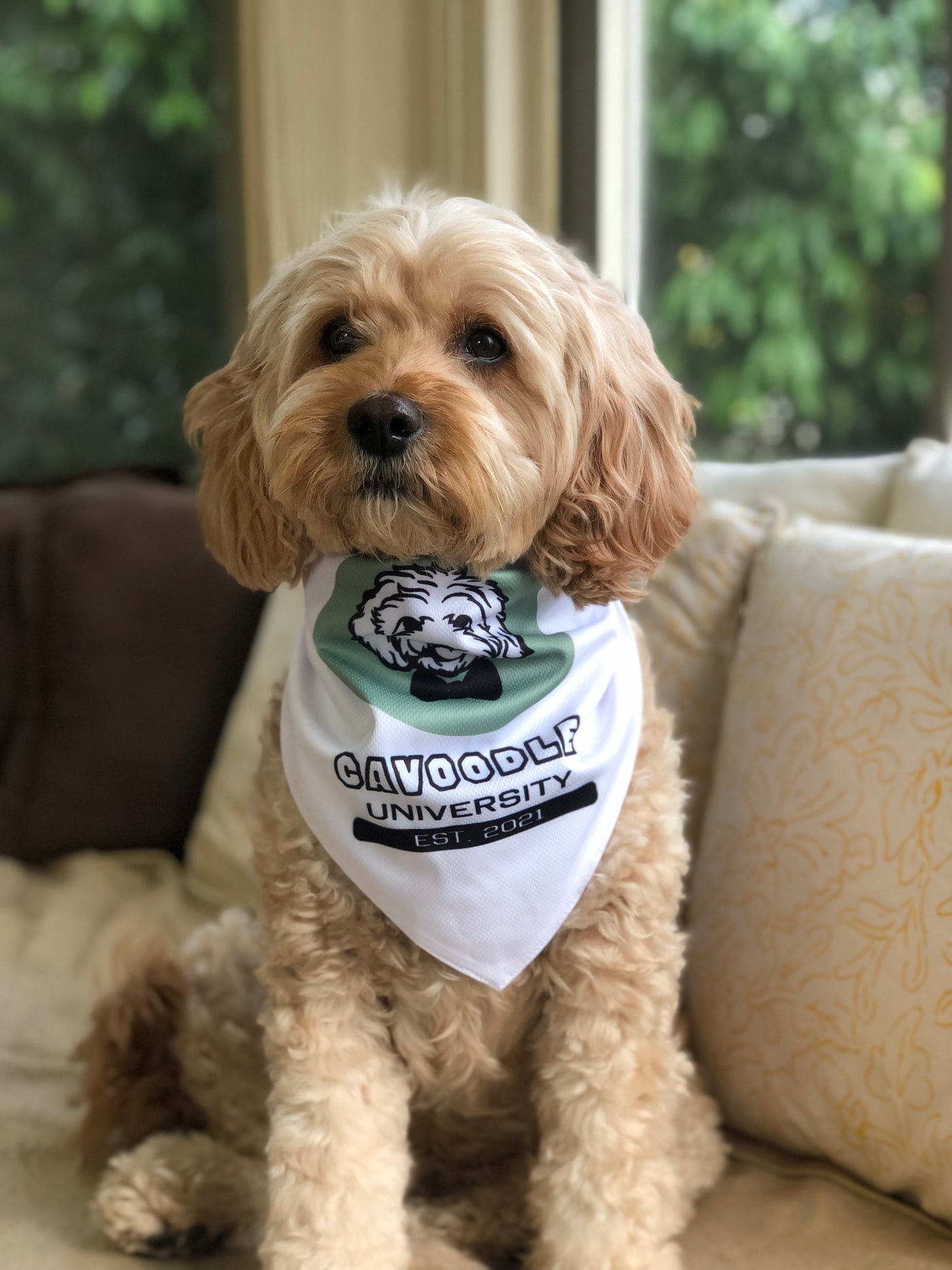 Cavoodle Bandana Reversible Tie On