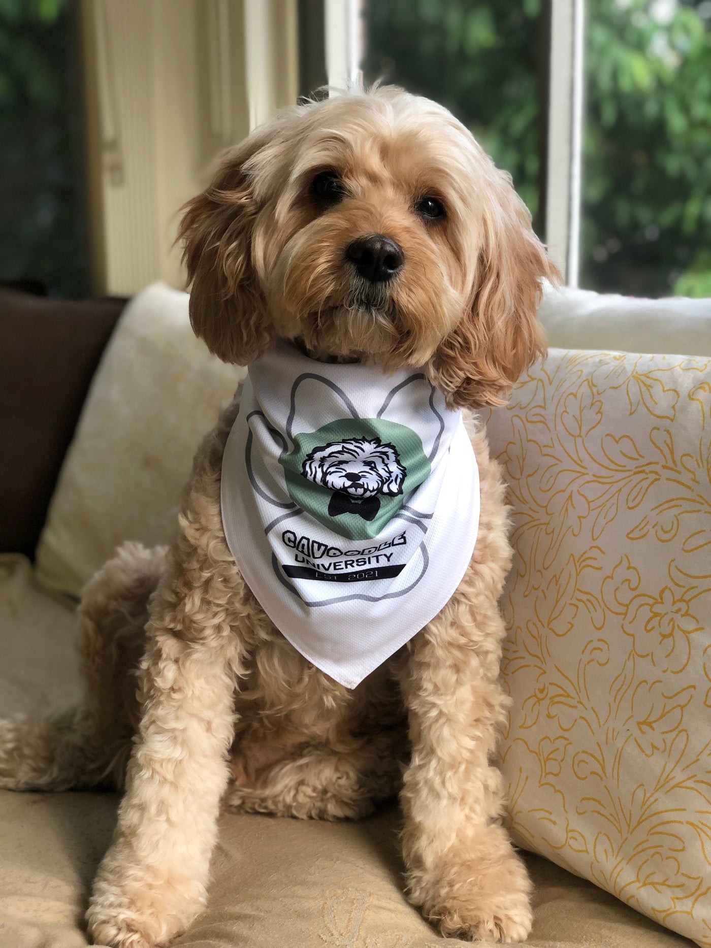 Cavoodle Bandana Reversible Tie On