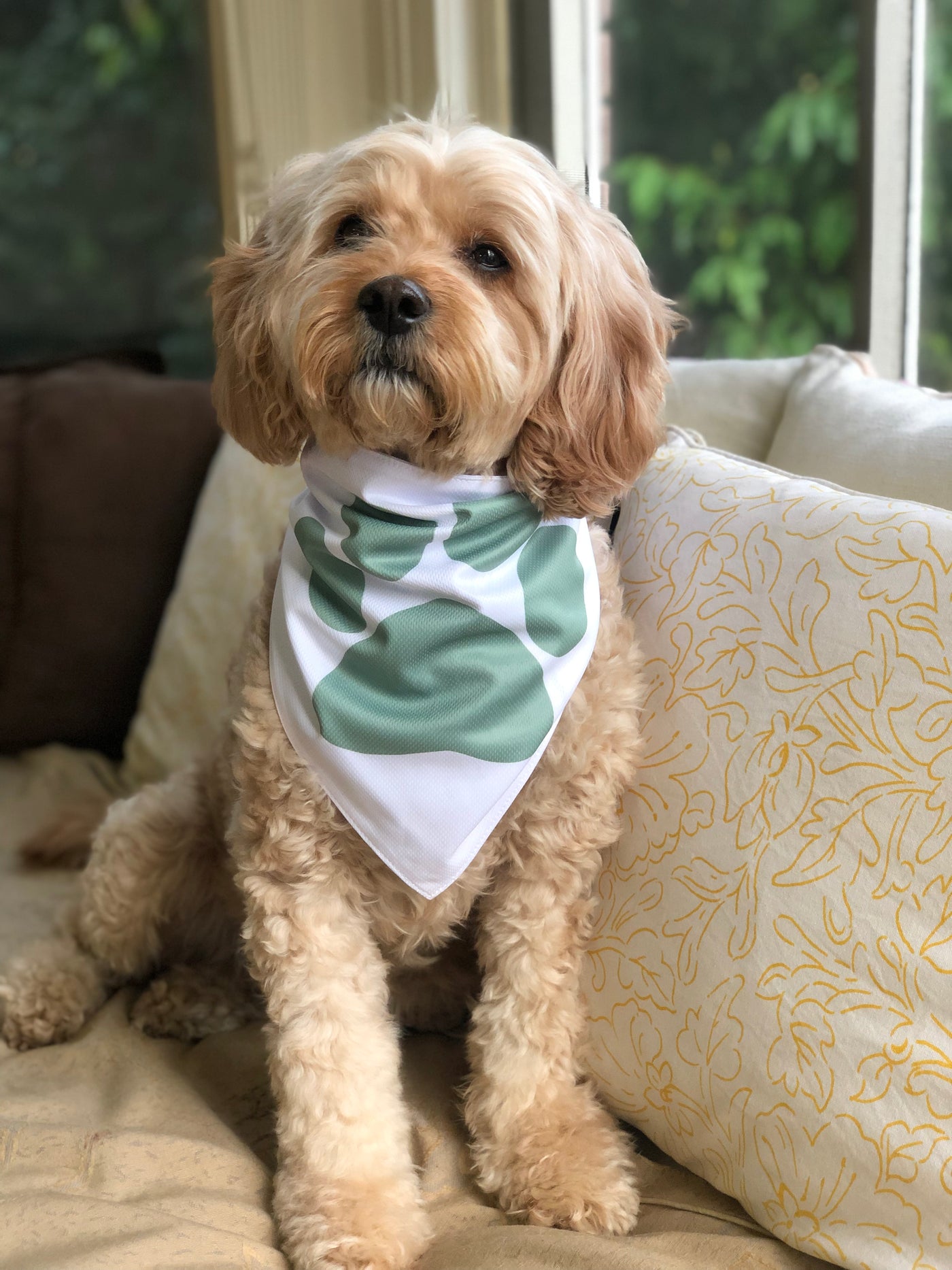 Cavoodle Bandana Reversible Tie On