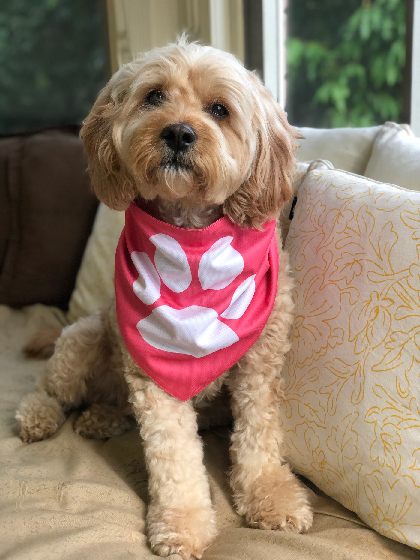 Cavoodle Bandana Reversible Tie On