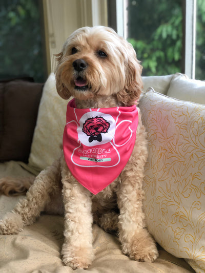 Cavoodle Bandana Reversible Tie On