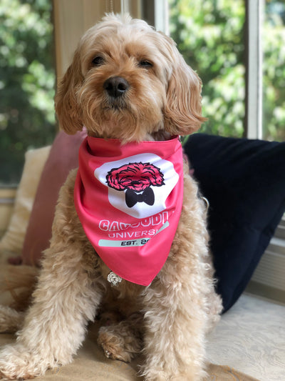 Cavoodle Bandana Reversible Tie On