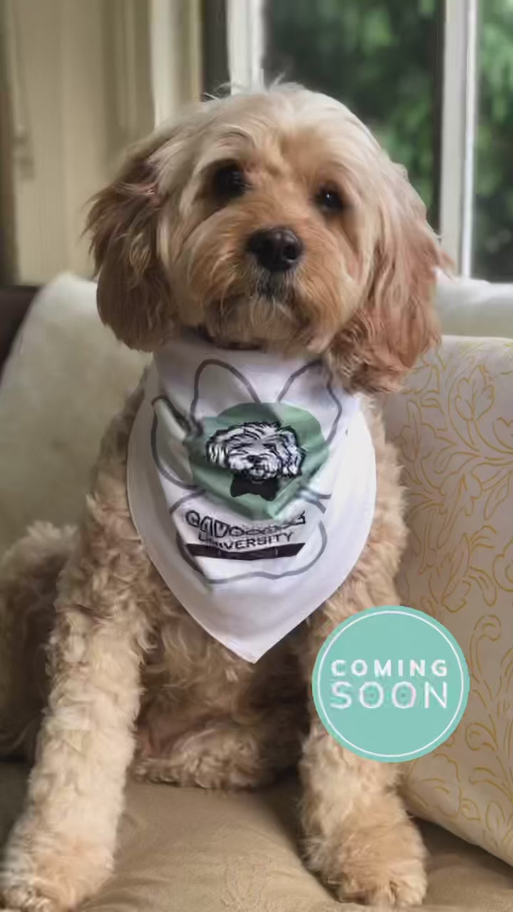 Cavoodle Bandana Reversible Tie On